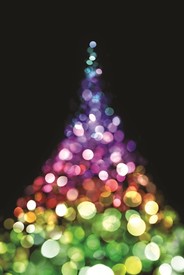 Celebrate the Season with 2011 Holiday Fun at the Springfield Museums