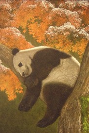 A Passion for Pandas at the Springfield Science Museum