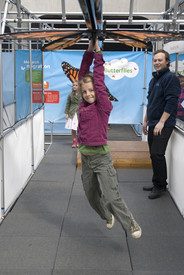 Amazing Butterflies Set to Land at Museums
