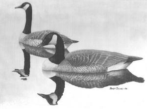 Waterfowl Stamp Exhibit
