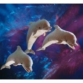 Make a Splash at the Springfield Museums Family Fun Program