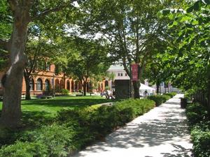 Summer Hours & Admission