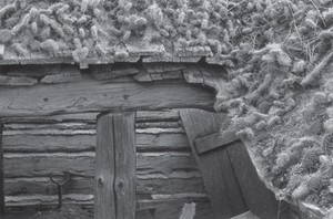 Richard Buswell: Traces – Montana's Frontier Revisited