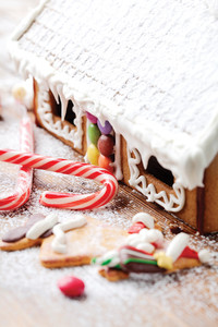 The Magic of Gingerbread at the Springfield Science Museum