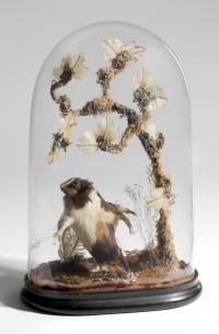 Victorian Domed Hamster display, 19th century, Springfield Science Museum, SSM-2006/5-43