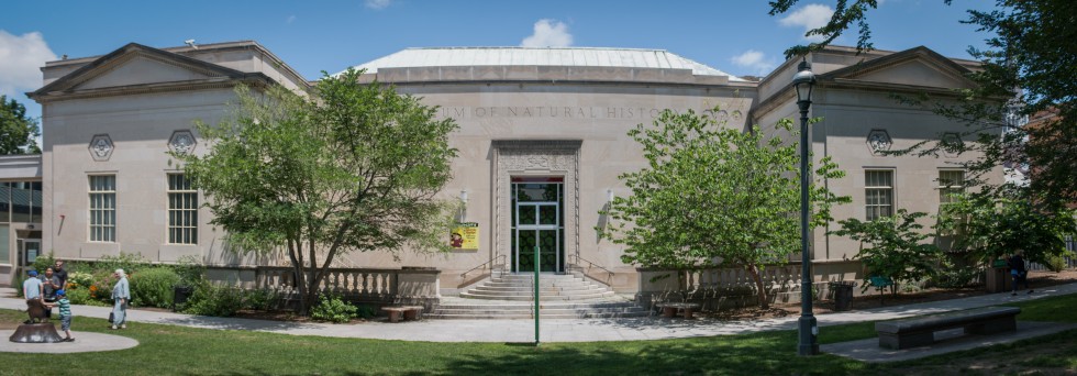 Springfield Science Museum in Summer.