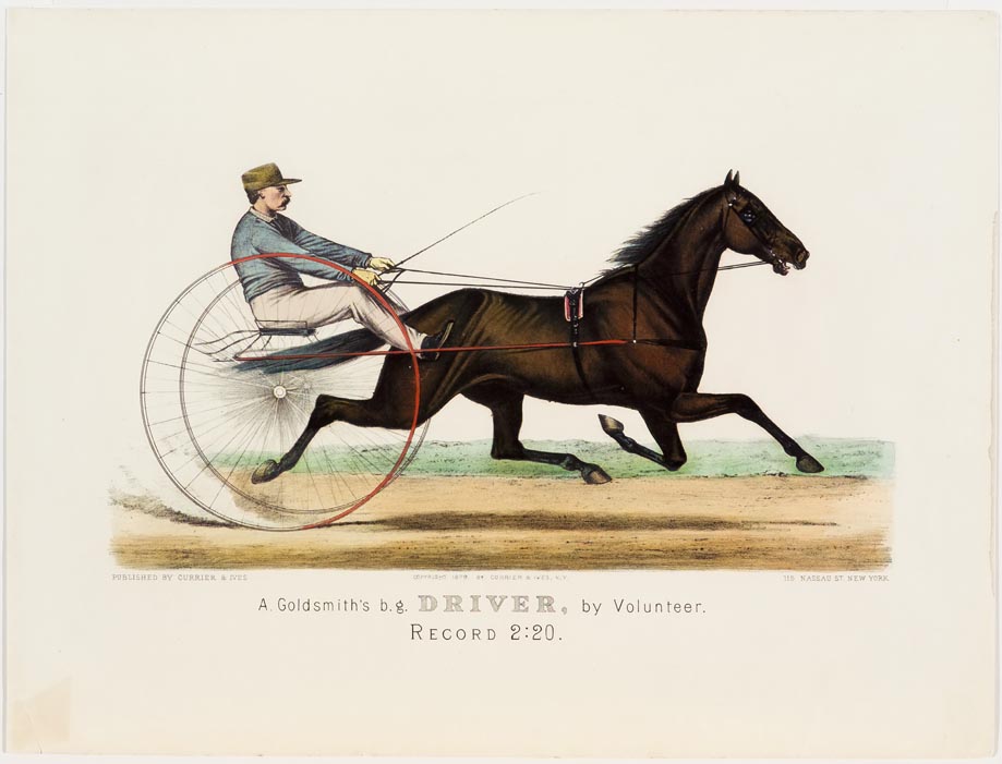 Rider and horse racing to right in image