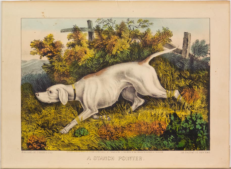 Pastoral scene - god out in field following scent and headed left in image