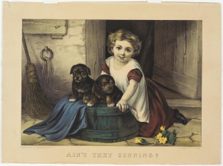 Girl Seated At Barrel Outside Doorway With Two Pups To Her Left