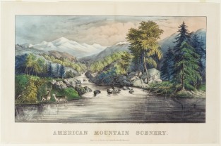 Woodland scene mountains in center background