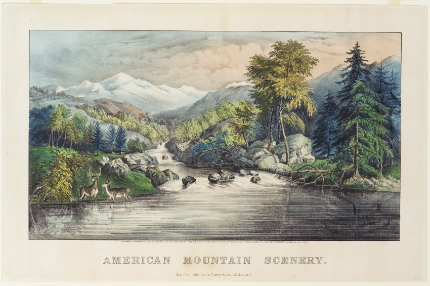 Woodland scene mountains in center background