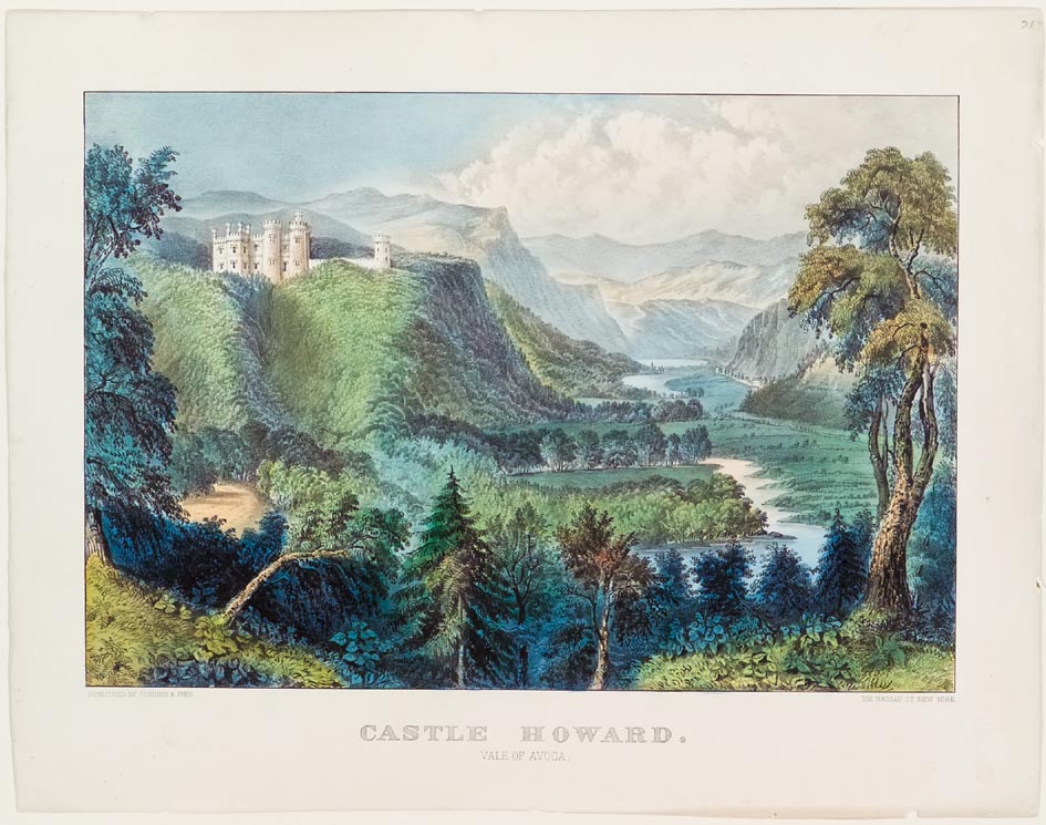 Mountain woodland scene