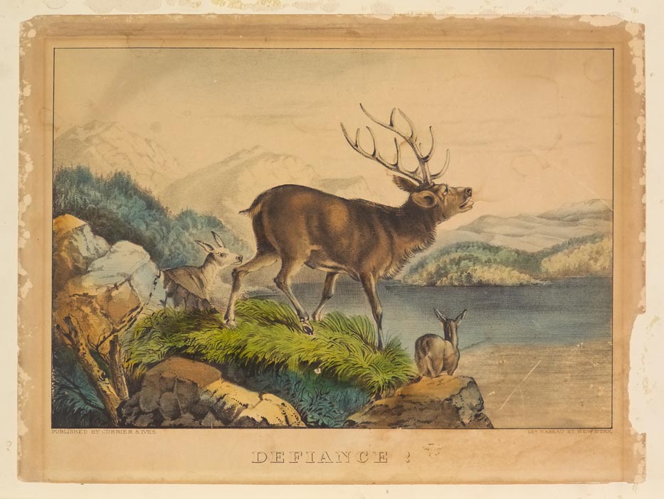 Stag at center of image facing right