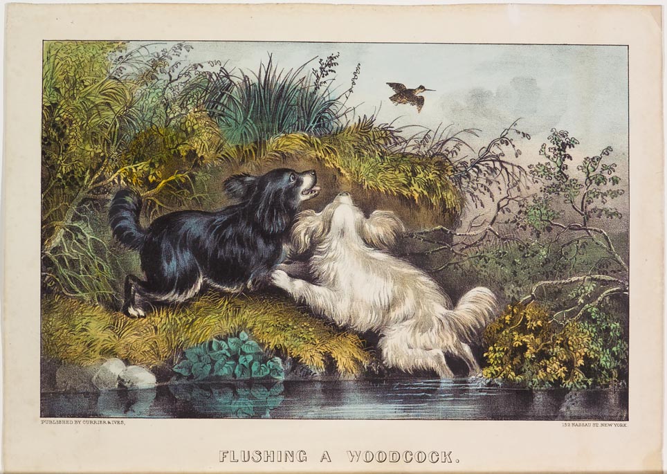 Black dog and white dog along river's edge chasing bird flushed out of marsh