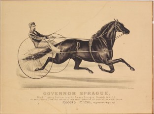 Driver and horse trotting to right in image