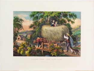 Pastoral Scene Of Large Oxen Drawing Hay Wagon Loaded With Hay Headed Over Bridge
