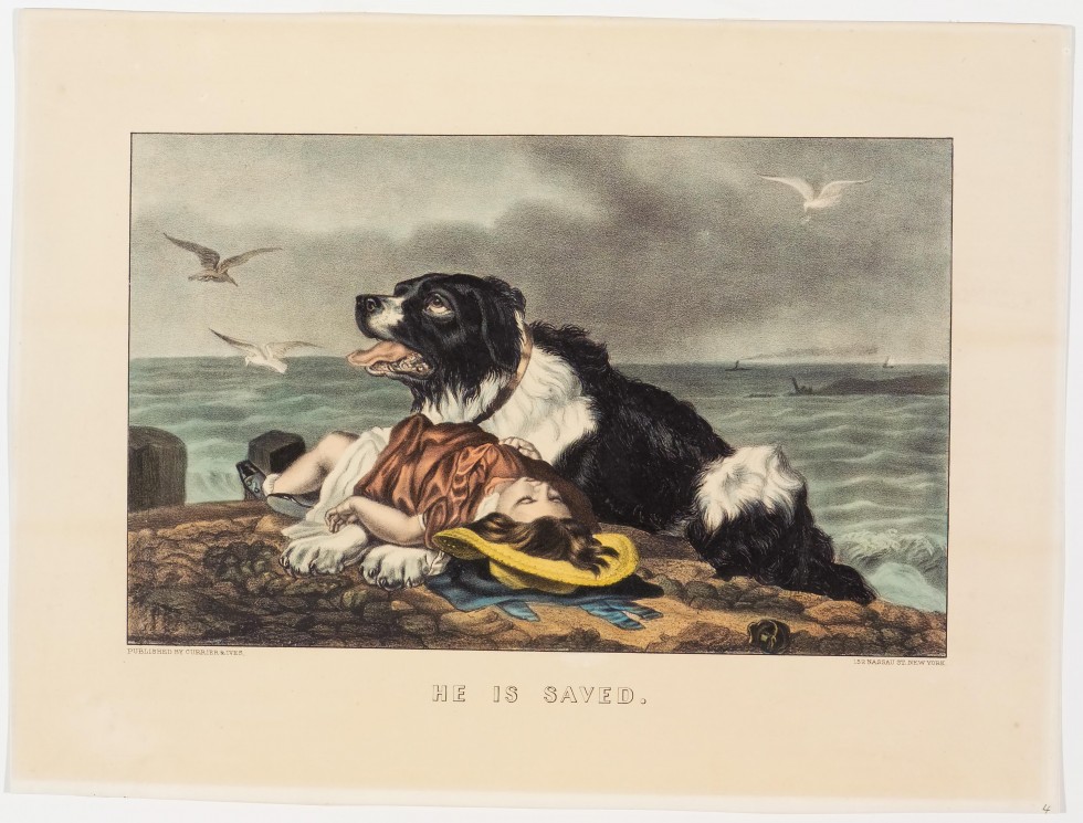 Black and white dog facing up and left resting on beach with supine body of young girl in pink dress lying across its front paws - sea in background