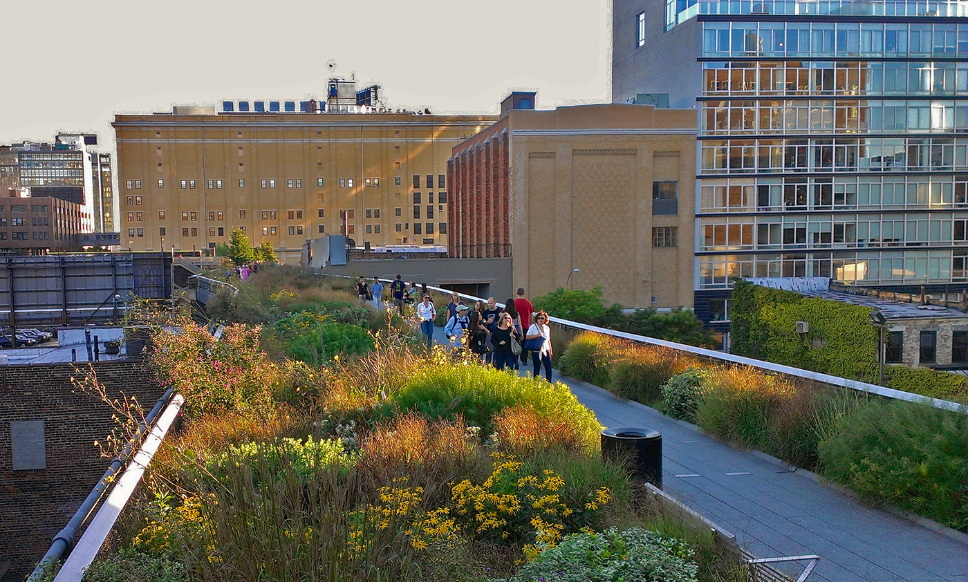 High Line Urban landscape New York