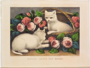 Two white kittens at center; one in basket to right facing viewer