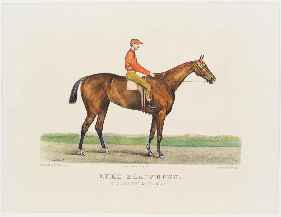 Rider astride a horse standing at center of image