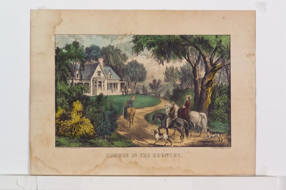 Pastoral scene