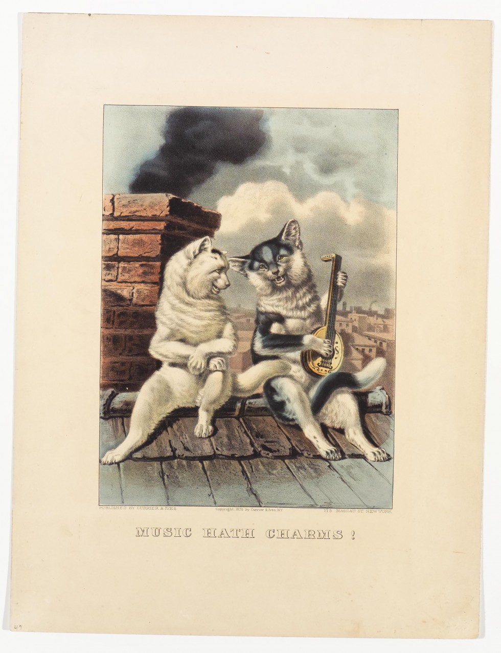 Two cats on roof top