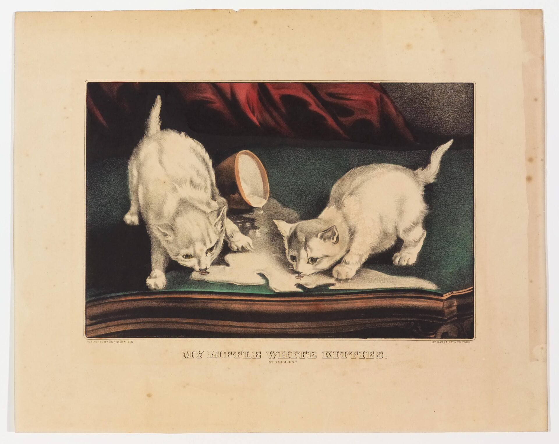 Two white kittens on a table top facing center licking up milk spilled out of a bowl in center