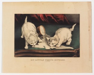 Two white kittens on a table top facing center licking up milk spilled out of a bowl in center