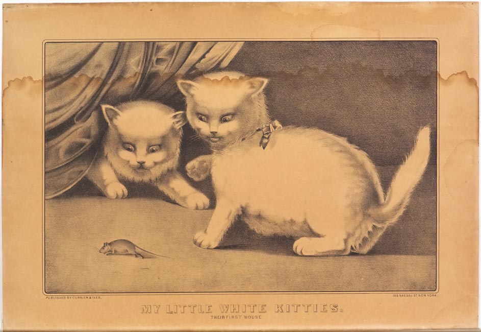 Two cats facing a mouse in lower left of image