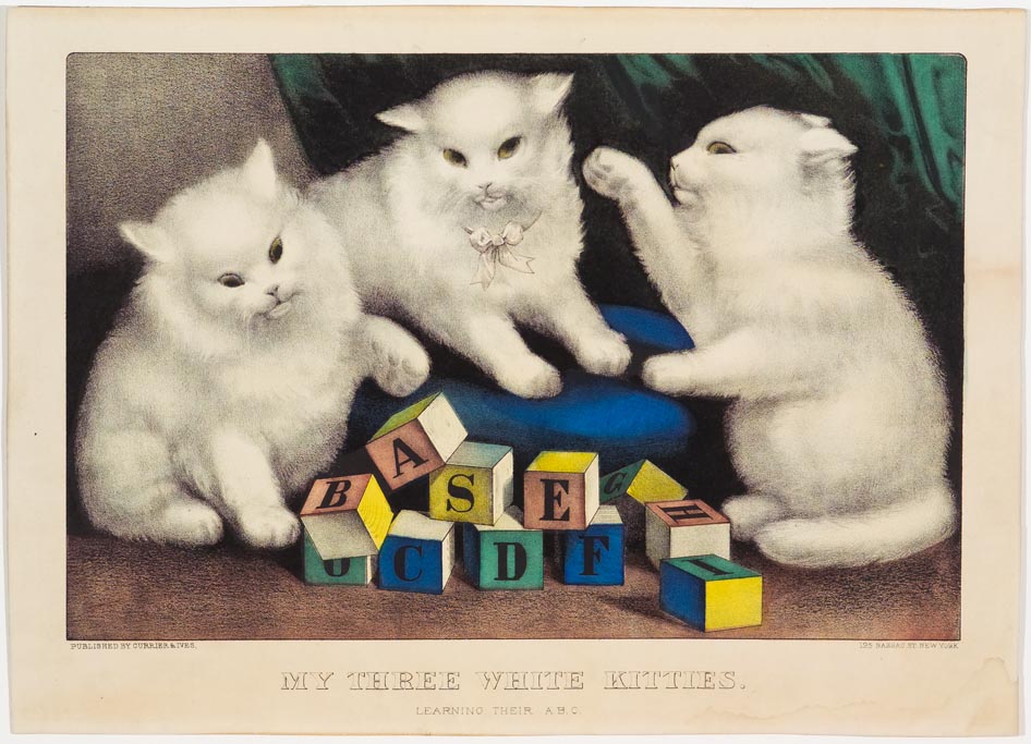 Three white kittens at play with colored wooden alphabet blocks