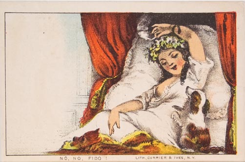 Woman lying in bed propped by pillows with dog sitting to her left