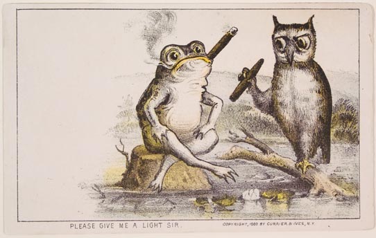 Frog sitting on rock in water smoking cigar joined by owl on branch in water smoking a cigar