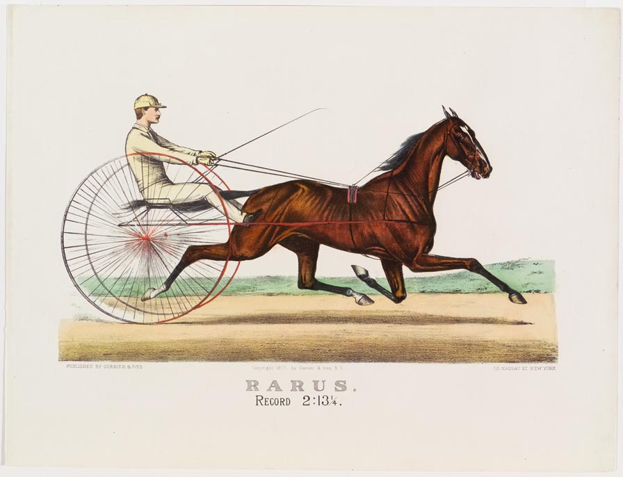 Driver and horse trotting to right in image