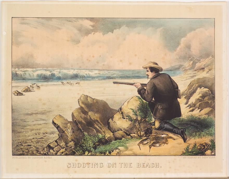 Man kneeling on beach behind rocks preparing to aim rifle at birds on beach to left