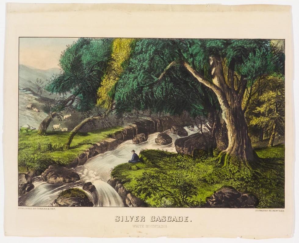 Sheep in left background