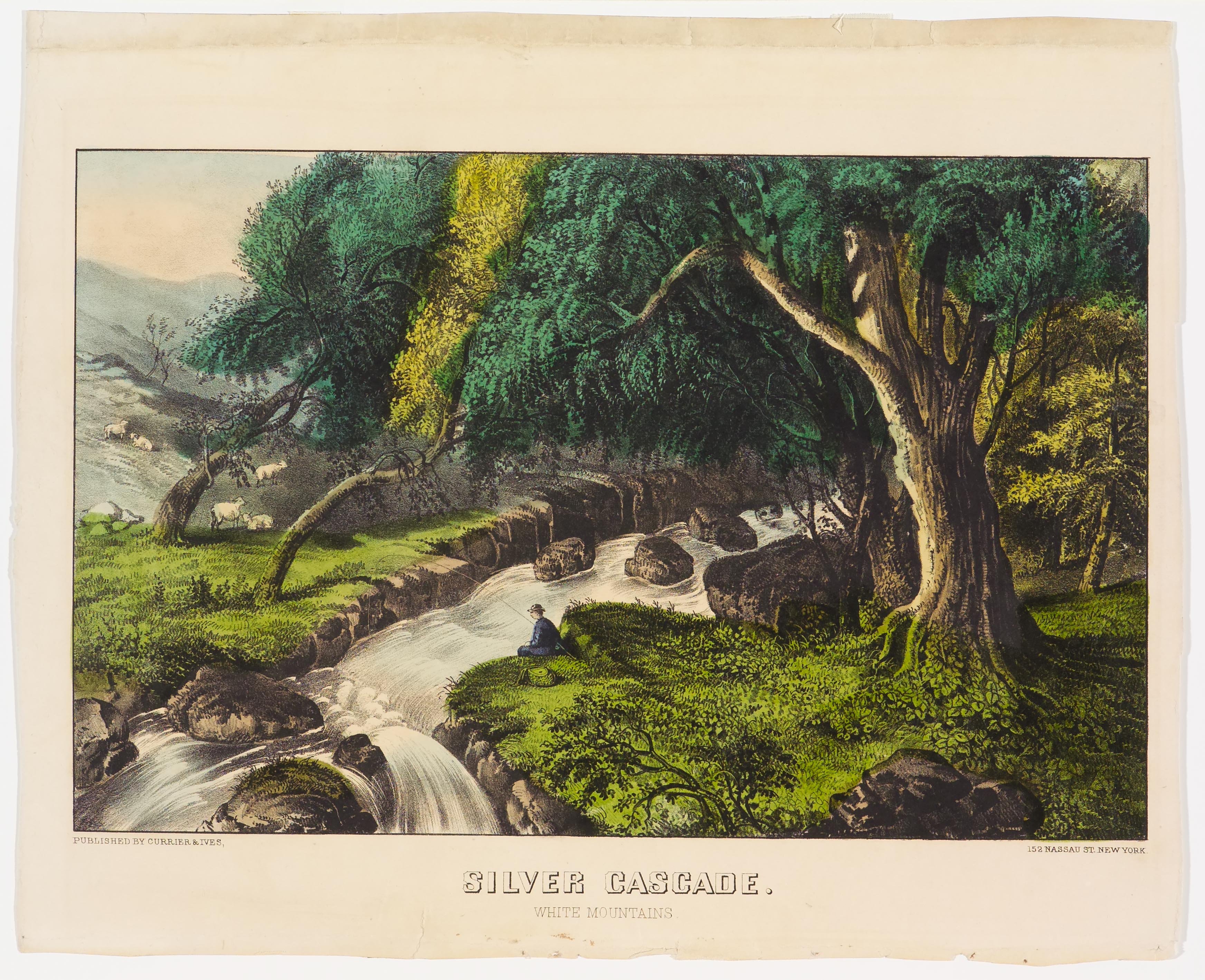 Sheep in left background