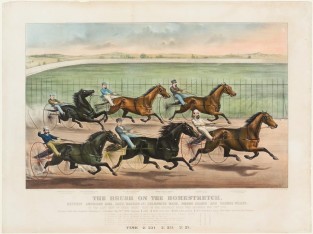 Six Horses In Harness Racing At Brooklyn Track