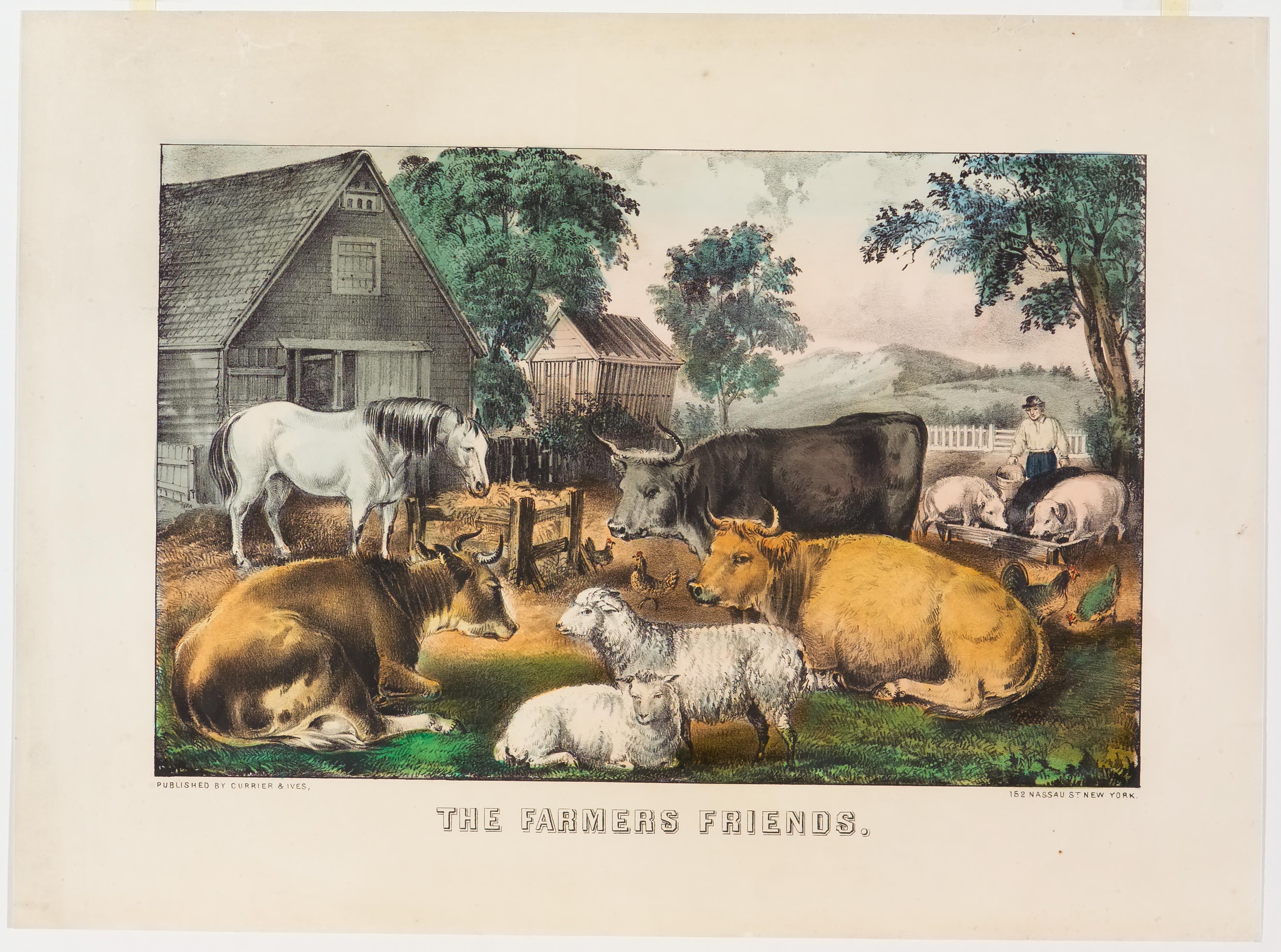 Barnyard scene including one horse