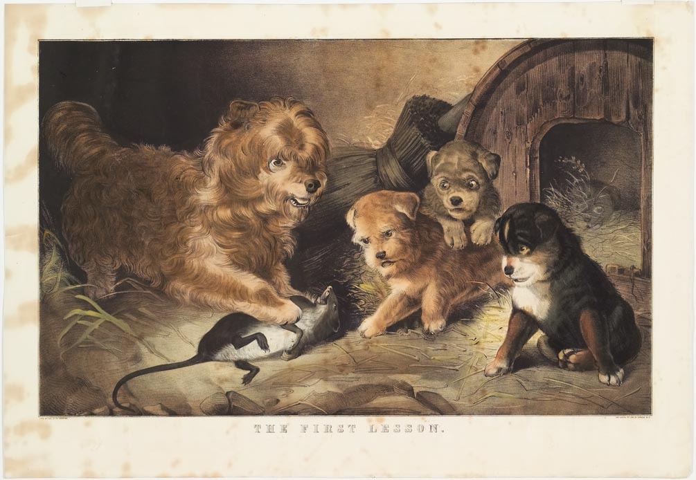 Three puppies to right with mother dog to left