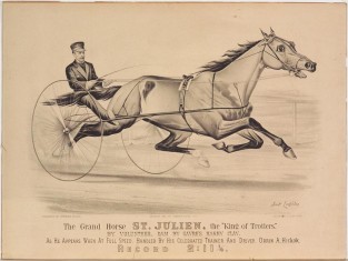 Driver and horse trotting to right on track