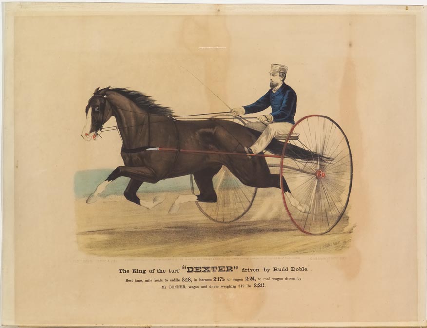 Driver and horse trotting to left in image