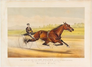 Driver And Horse Riding To Right In Image