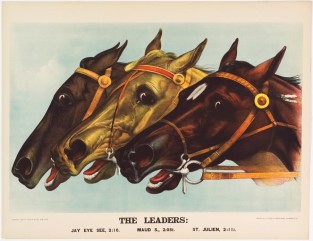 Heads of three horses all facing left but eyes on viewer