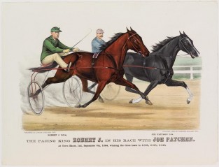 A brown and a grey horse