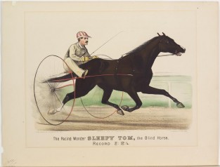 Driver and horse trotting to right in image
