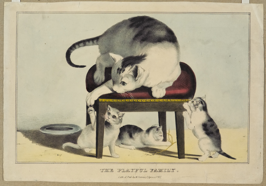 Mother cat lying upon cushion playing with her three kittens below