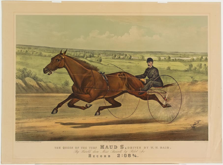 Driver and horse on track trotting to left in image