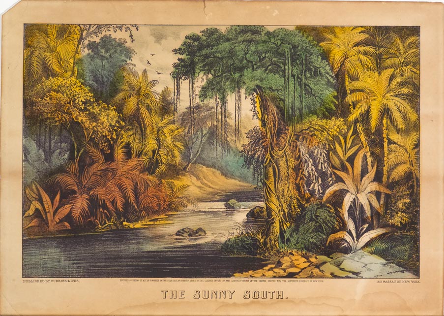 Landscape scene of river running through woods
