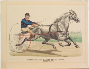 Driver and horse trotting to right on a track