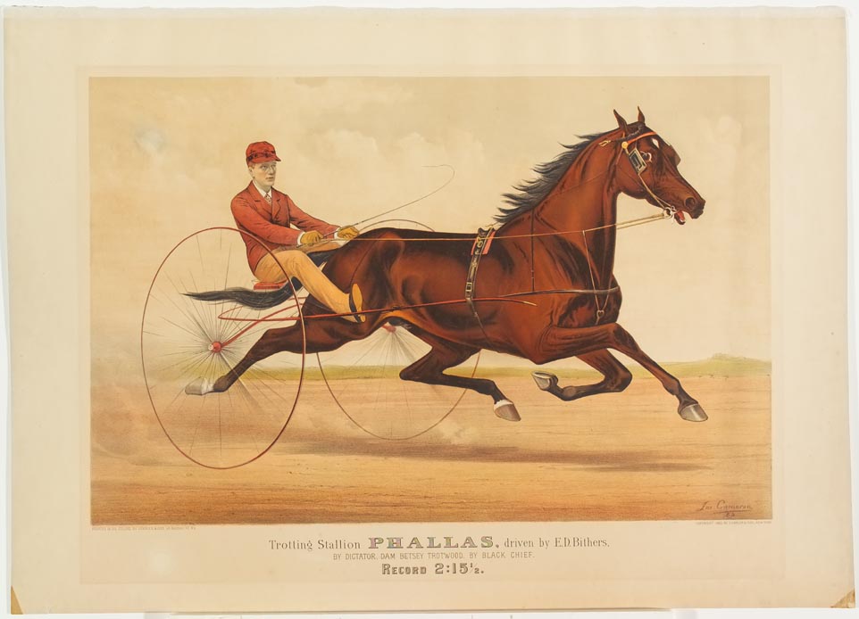 Driver and horse trotting to right on track